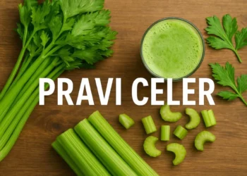 Pravi Celer