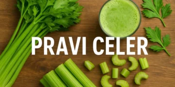 Pravi Celer