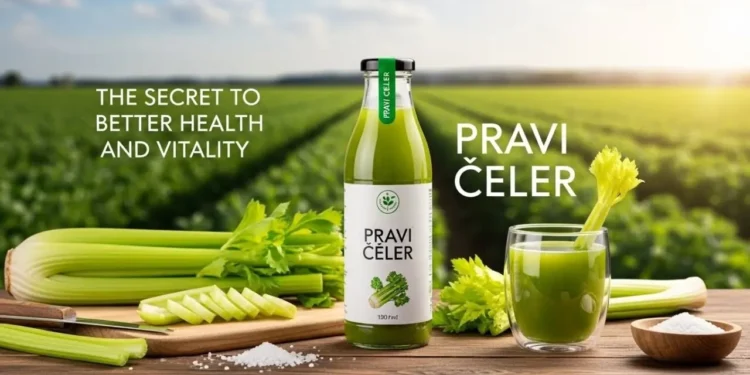 Pravi Celer
