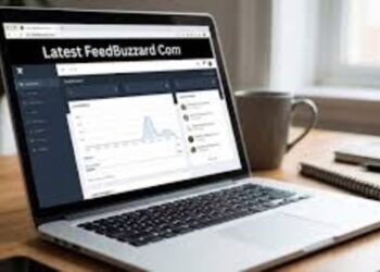 Feedbuzzard com