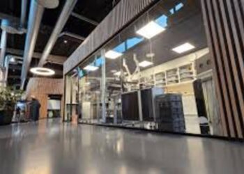 Anticimex Oy / Indoor Quality Service Oy Yritysostostrategia